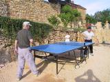 La table de ping-pong avec raquettes à disposition