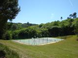 Le court de tennis dans son écrin de verdure