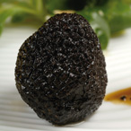 Truffe du perigord